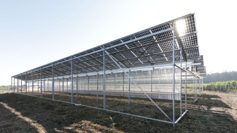 Im Aufbau: die Forschungs- und Demonstrationsanlage für Agri-Photovoltaik in Morschenich-alt