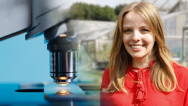 Porträt von Angelina Eßer. Sie steht im Freien vor Gewächshäusern am Forschungszentrum Jülich und lächelt in die Kamera. Sie trägt eine rote Bluse mit Schleifendetail am Kragen, ihr hellbraunes Haar fällt offen über die Schultern. Links im Bild ist groß im Vordergrund ein Mikroskop zu sehen, das auf eine beleuchtete Probe gerichtet ist. Die Aufnahme verbindet Forschung im Labor mit landwirtschaftlicher Praxis im Hintergrund.
