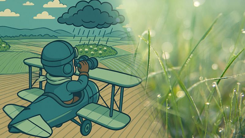 Zweigeteiltes Bild: Links eine Illustration: Eine Person sitzt in einem kleinen Doppeldecker-Flugzeug und schaut mit einem Fernglas auf Felder. Über einem Feld zieht eine dunkle Wolke auf, aus der Regen fällt. Rechts ein Foto: Nahaufnahme von grünem Gras mit Tautropfen, im Hintergrund unscharfes Licht. Die Bildhälften verbinden Wetterbeobachtung und Bodenfeuchte.