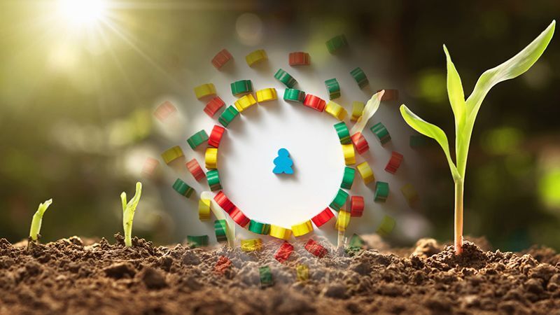 Grafische Illustration eines Beteiligungsprozesses: In der Mitte befindet sich eine weiße Kreisfläche mit einer blauen Spielfigur als Symbol für den Menschen. Um den Kreis sind zahlreiche bunte Spielsteine in Rot, Gelb und Grün kreisförmig angeordnet, einige scheinen sich in Bewegung zu befinden. Im Vordergrund wächst aus dunkler Erde ein junger Keimling, rechts eine größere Pflanze mit mehreren Blättern. Sonnenlicht fällt von links oben auf die Szene und symbolisiert Entwicklung und Wachstum.