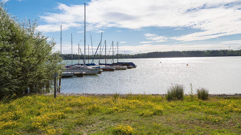 Blick auf einen ruhigen See bei Sonnenschein. Mehrere Segelboote liegen an einem Steg, ihre Masten ragen in den Himmel. Im Vordergrund eine Wiese mit gelben Wildblumen und einzelnen Grasbüscheln, links ein Baum am Ufer. Das Wasser glitzert im Licht, am gegenüberliegenden Ufer verläuft eine Baumlinie unter einem leicht bewölkten Himmel.