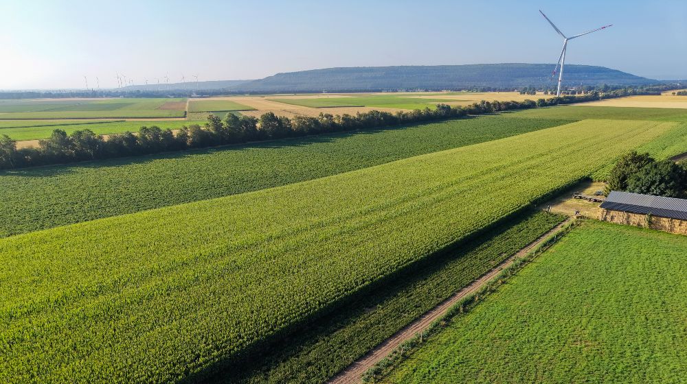 Luftaufnahme einer weitläufigen Agrarlandschaft mit großen grünen und abgeernteten Feldern. Baumreihen und Feldwege gliedern die Flächen. Rechts steht eine große Windkraftanlage, weitere Windräder sind am Horizont zu erkennen. Im Hintergrund erhebt sich die bewaldete Sophienhöhe. Rechts unten befindet sich ein kleines landwirtschaftliches Gebäude.